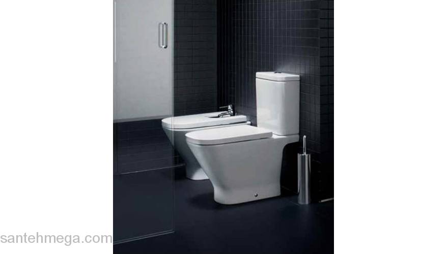 Унитаз напольный ROCA The Gap 342477000. Фото