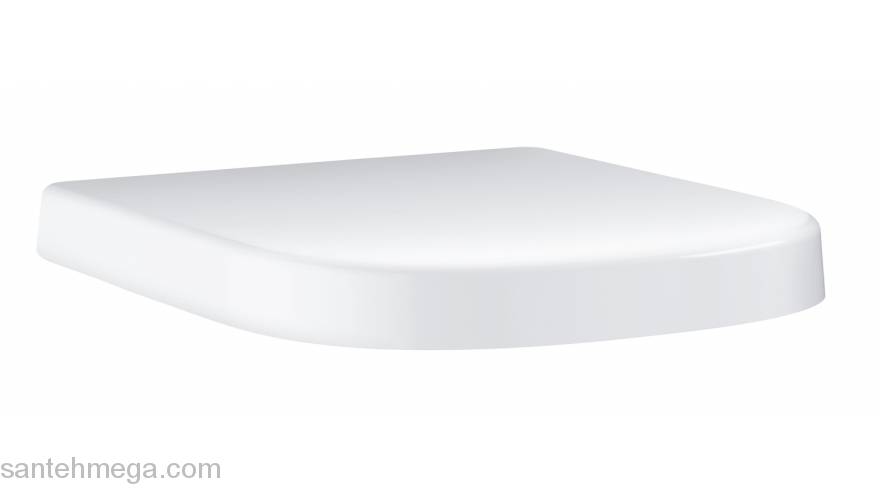 Сиденье GROHE Euro Ceramic 39459000. Фото