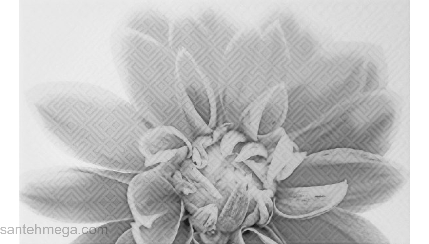 Unitile 010301001886 Декор Камелия 250х400 чёрный 03