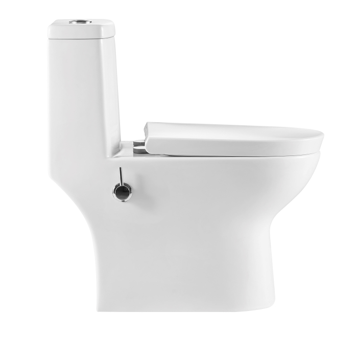 Унитаз-моноблок с функцией биде и встроенным смесителем EVA GOLD SM5004B. Фото