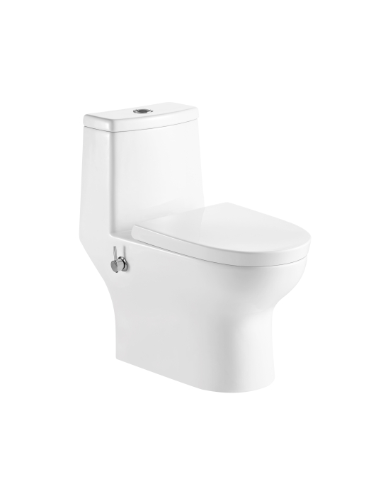 Унитаз-моноблок с функцией биде и встроенным смесителем EVA GOLD SM5004B. Фото