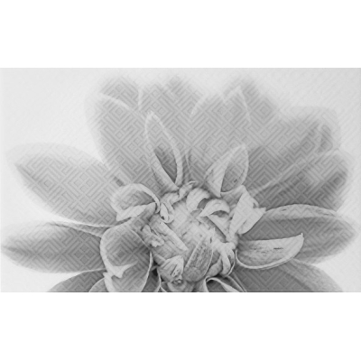 Unitile 010301001886 Декор Камелия 250х400 чёрный 03